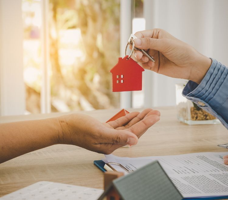 December Market Update